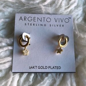 Argento Vivo mini hoop star earrings